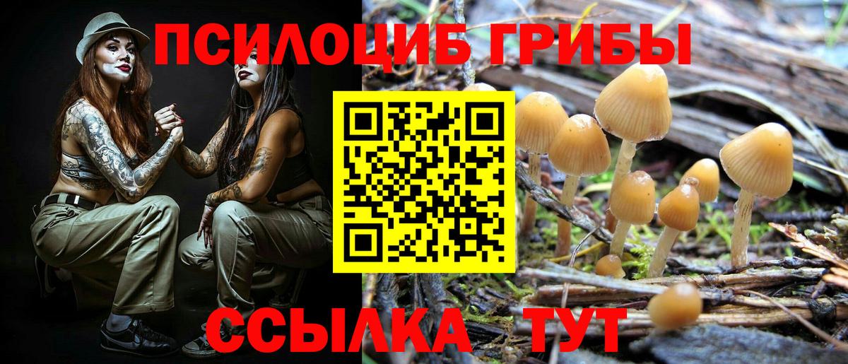 Псилоцибиновые грибы мухоморы Кизилюрт