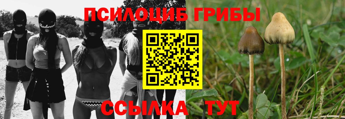 Галлюциногенные грибы мицелий  Галлюциногенные грибы Psilocybine cubensis  Кизилюрт  Вход с VPN 